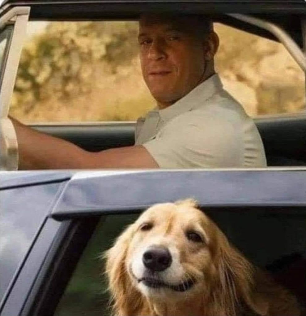 Cuando voy en el tráfico, pero veo a un perrito en el carro de al lado.
