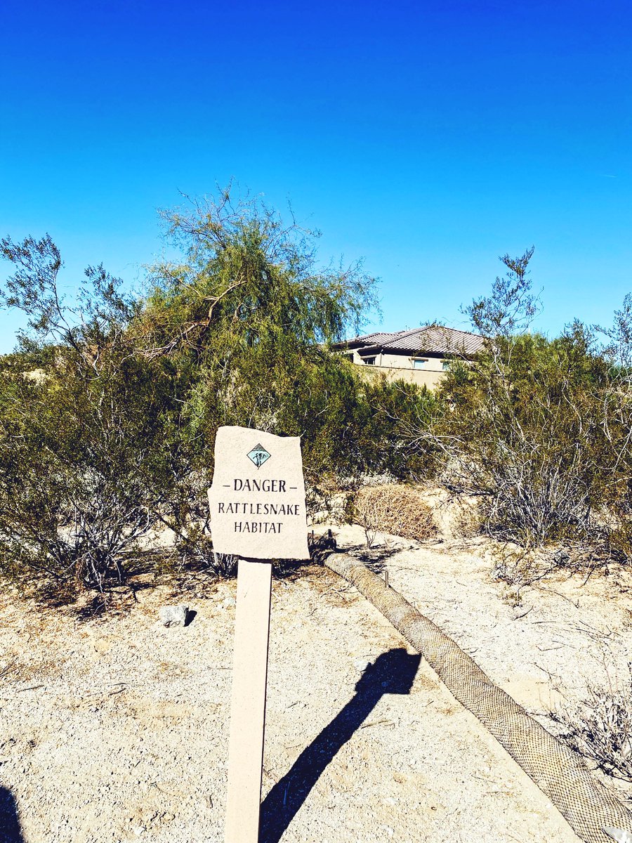 GolfObsessed's tweet photo. Played the Golf Club at Estrella today. Nice course! Just being in shorts and sunshine was a pleasure. https://t.co/FgxOftoTk7