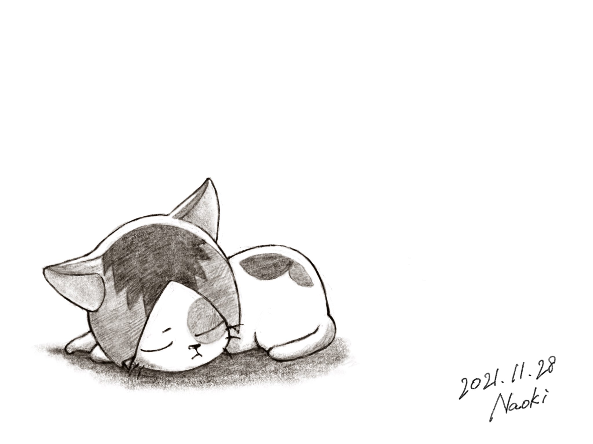 なおやん Al Twitter 研磨ネコ描いた ハイキュー 孤爪研磨 音駒 イラスト Haikyu Illustration Drawing T Co Z1ojwovfdp Twitter