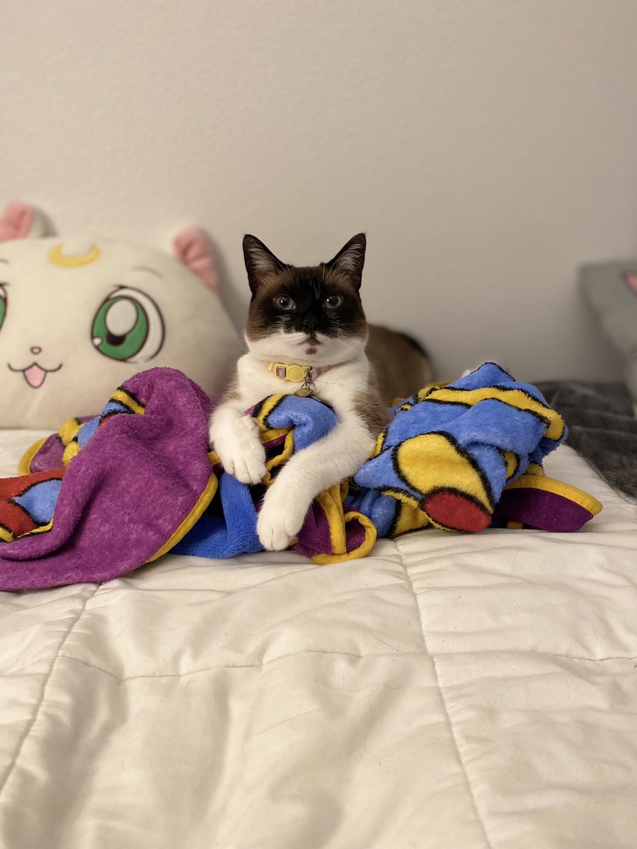 Samantha tweet media