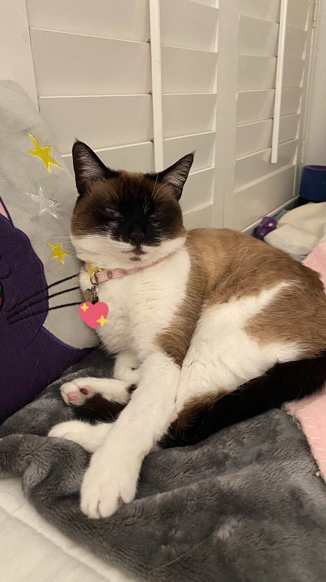 Samantha tweet media