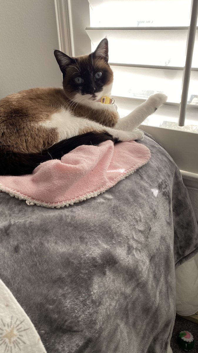 Samantha tweet media