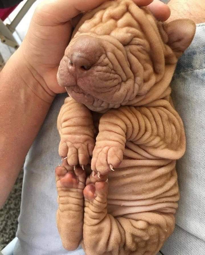 Counts My CannaBlessings ⁴²⁰ 🌬️ 💨 tweet media