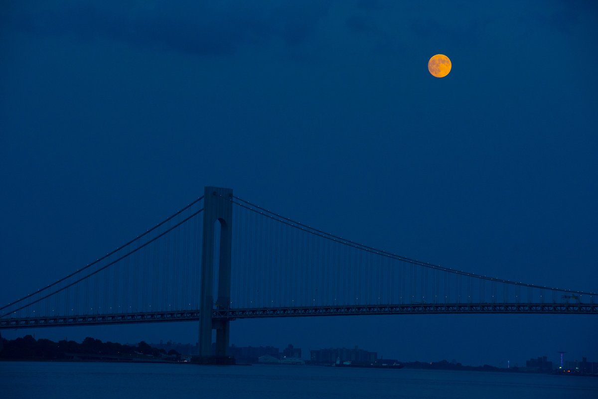 City of New York tweet media