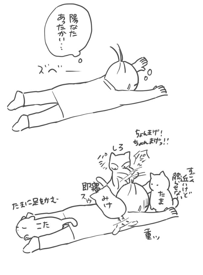 🐱4匹の個性が顕著にでる… 