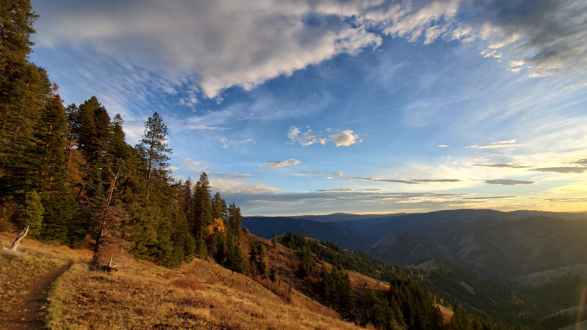 atThornhollow's tweet photo. Follow the path, see the sights.
.
#landscape #landscapephotography #landscapecaptures #landscapephoto #naturephotography #pathahead #pathadventure #trailadventure #Tranquility #ScenicsNature #sunsetphotography #cloudphotography #pnw #easternoregon #hikeoregon #getoutside https://t.co/TjUpDVQ4wT