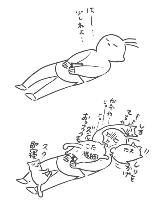 仰向けだと遠慮なく猫達乗ってくるので多分敷物認識されている 
