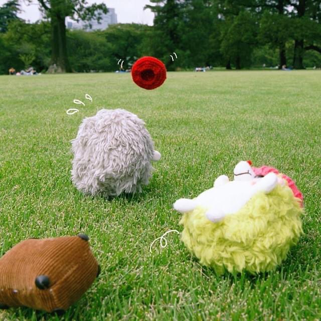 RainbowPockets's tweet photo. ああああ!まってー
#ぬい撮り #rockandpaper https://t.co/xxVjzNsuqS