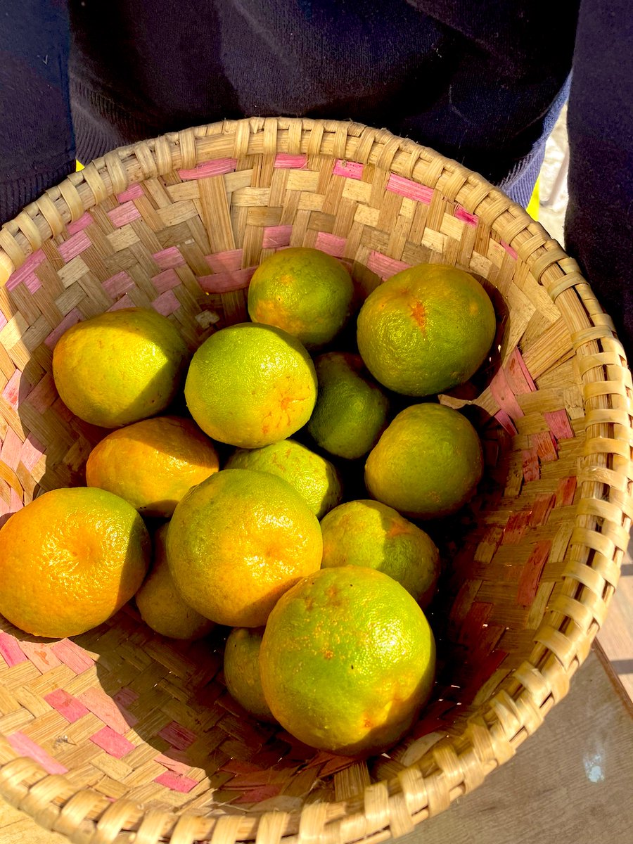 Ira Pradhan tweet media