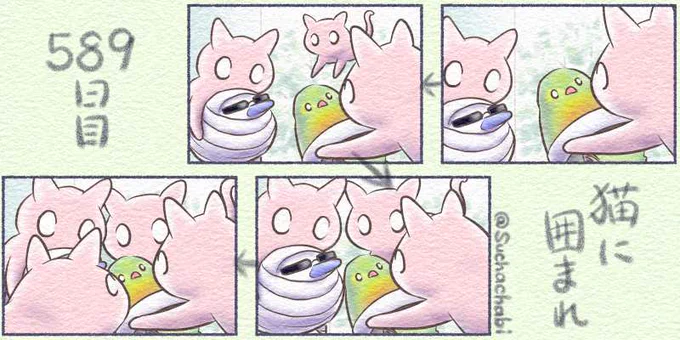589日目 猫に囲まれる 