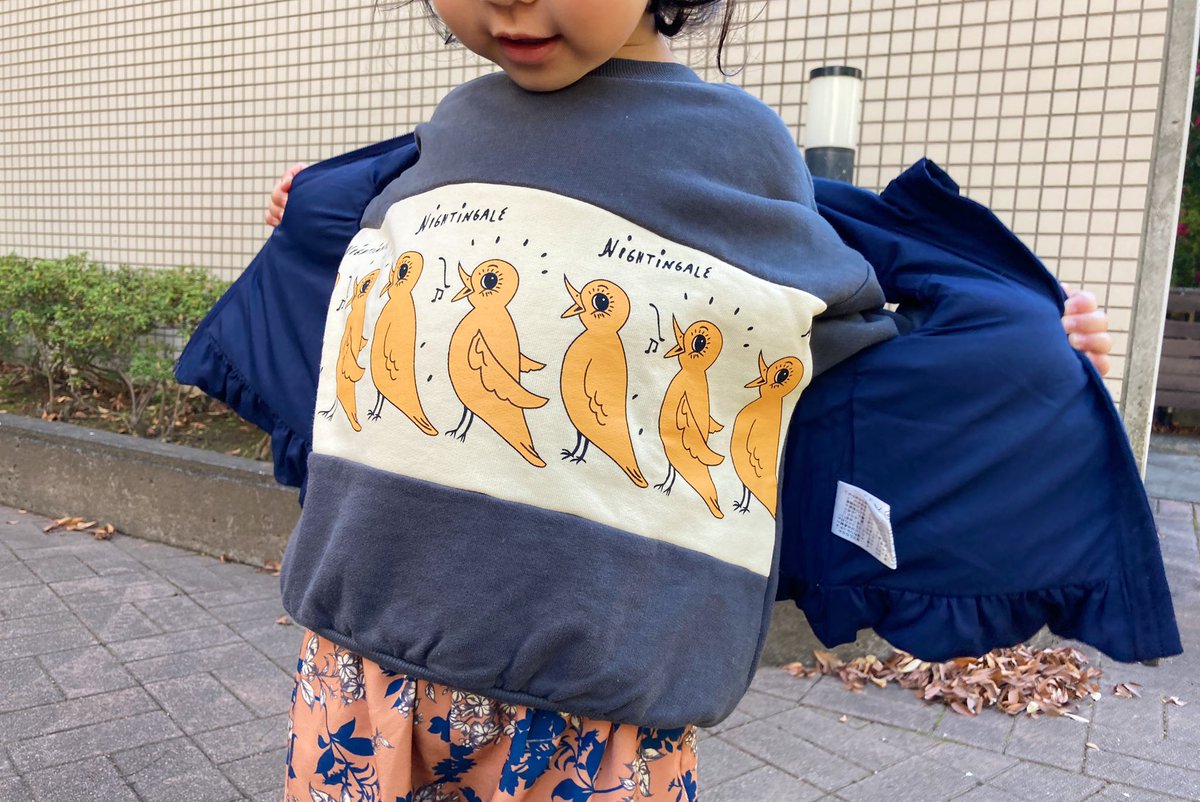 23himatsubushi's tweet photo. トレーナーの鳥と会話を楽しむ3歳
#minirodini https://t.co/Ip3cWLluEH