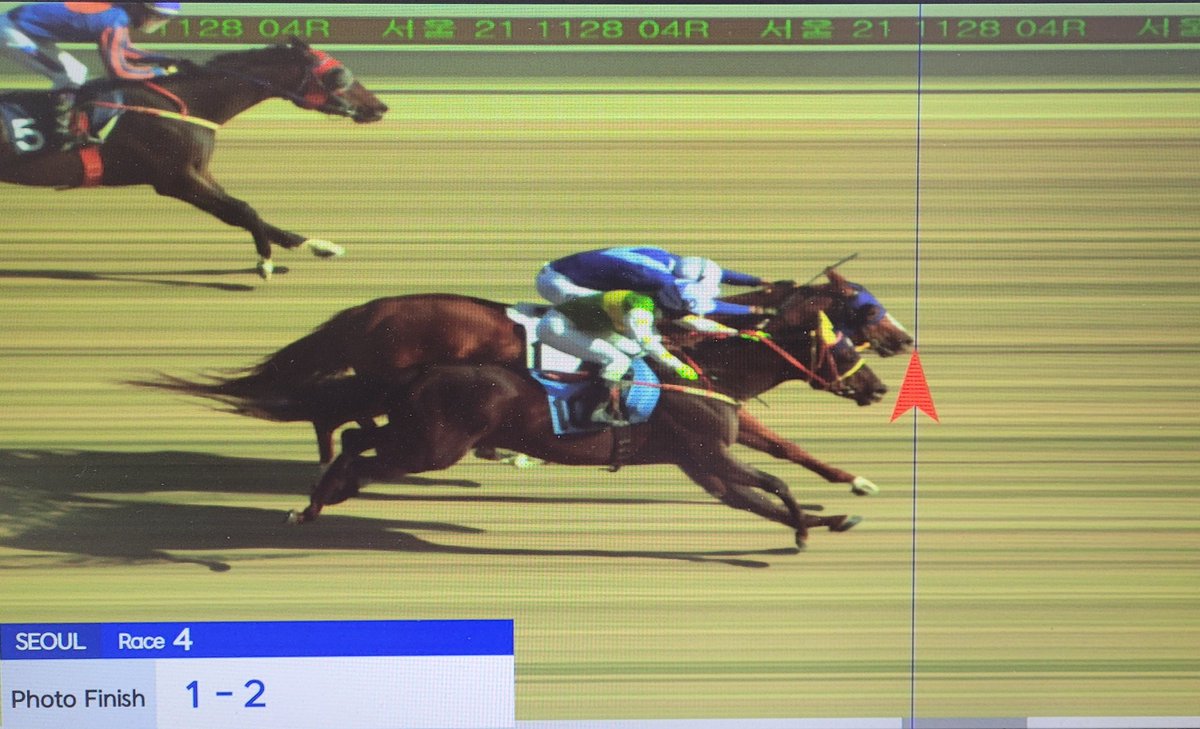 korearacing's tweet photo. Running double for Johan Victoire as Param Wangja (Divine Park-Wild Rush Creek) just manages to hold off the fast finishing Power Box to win Seoul race 4. https://t.co/CCTjHrvaGU