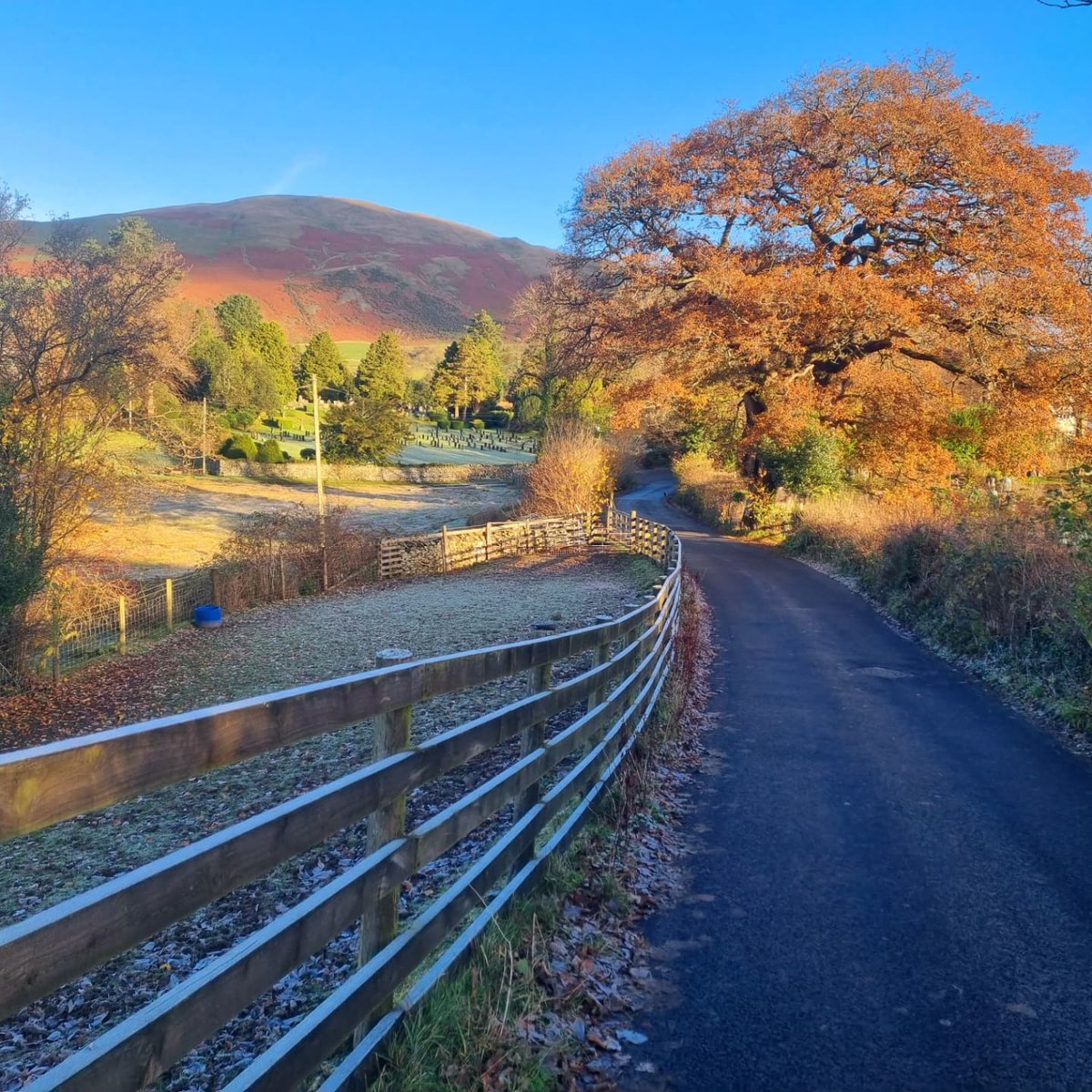 SusannahHarpham's tweet photo. Last Thursday, a stunning start to the day with both hard frost and beautiful sunlight! Autumn/Winter in one photo 🍁❄ @visitsedbergh @nfucountryside @BBCCountryfile #susannahsphotos #seasons #frostymorning #walking #beautifulnature #beautifulsky https://t.co/6O9Lnc61wJ