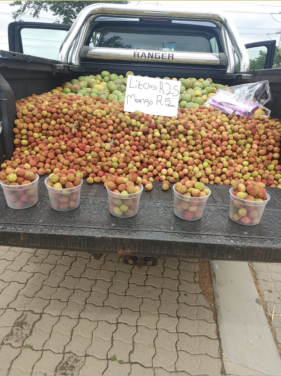 Lena Litchis tje batlo di fetja today 😭😭 the respond bafethu. Im here 20 minutes but....look

Now im at Riverside View till 12h45
13h00 I'm at Midrand Noordwyk next to Russian Church
Whatsapp me for location 0612334381