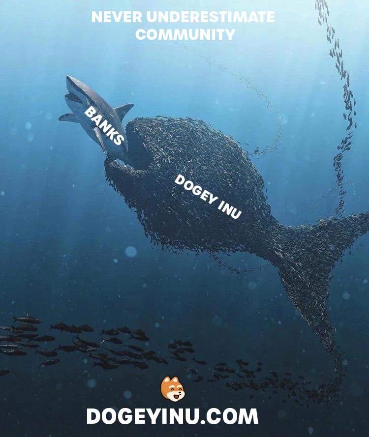@DogeyInuWorld @diamondhands_k8 Few understand. When you don’t rely on the marketing and spending of tokens to promote yourself and build a solid community around that, the only direction is up. 

You’re either a believer or not. Early $shib people know this is the truth !