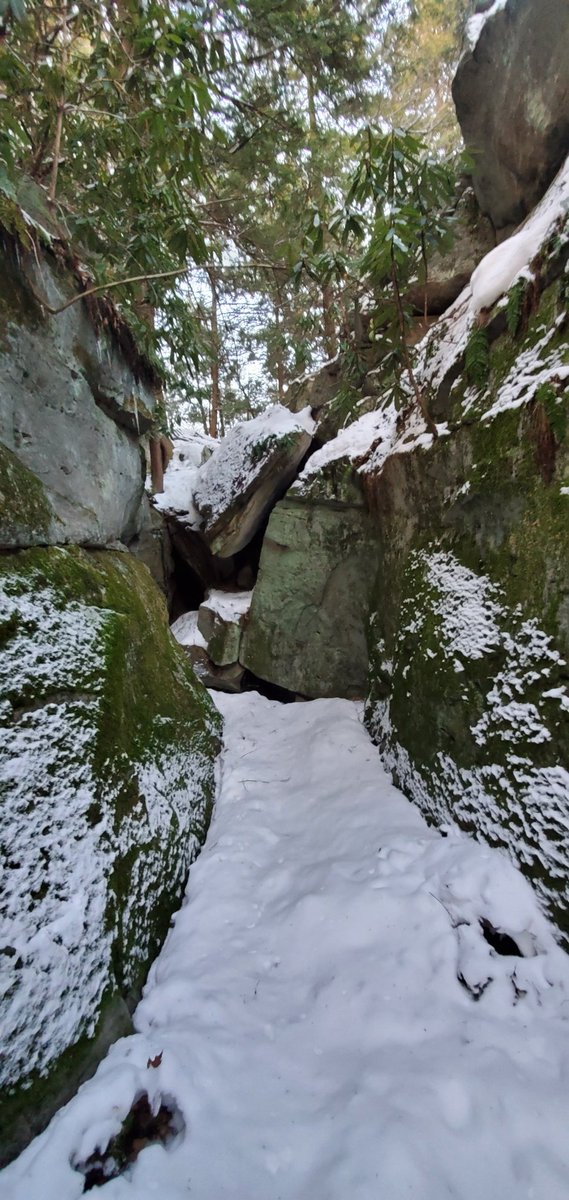 Bugroach (@bugroach2) on Twitter photo 