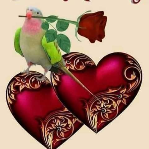 abdulhak21's tweet photo. @Celara_amnda https://t.co/KGtlluqF5u