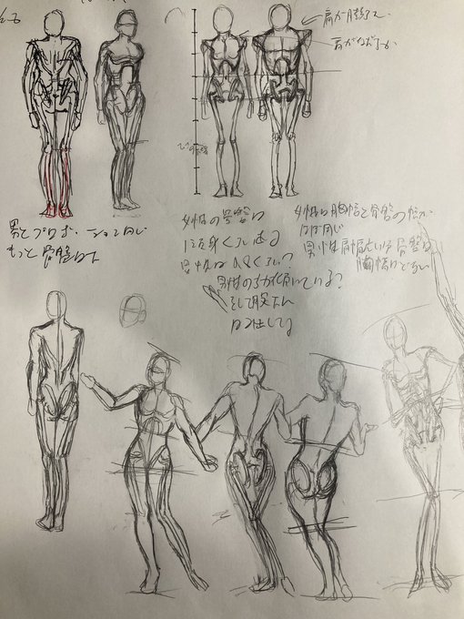 絵の上達を試す過程で、どこかでやっぱり筋肉と骨格の問題にぶち当たりますね。3ヶ月上達法の次の課題は骨格と勢いです。
ルーミス先生やハム先生の人体デッサン本で練習はじめました。神絵師目指すためにまずは骨絵師です。
男性と女性の骨格違いすぎこれ二つ覚えるのハードモードなんですけど😭 