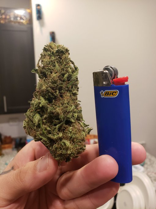 Join me? https://t.co/mUa3b1cXSt