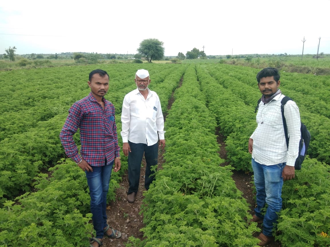 GeraniumFarming's tweet photo. श्री.साईसिद्धी जिरेनियम, वनकुटे, पारनेर, अहमदनगर.
शेतकऱ्यांचा आर्थिक विकास, हाच आमचा ध्यास..!
जिरेनियम शेती, जिरेनियम तेल उत्पादन, जिरेनियम शेती प्रशिक्षण व मार्गदर्शन, जिरेनियम खरेदी, जिरेनियम रोपांची विक्री.
#GeraniumFarming
https://t.co/XXSCNUB8rZ @ilovenagar https://t.co/jdx3OxsvGh