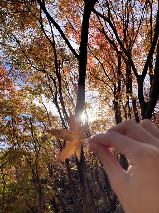 Twitterのコスプレ画像43