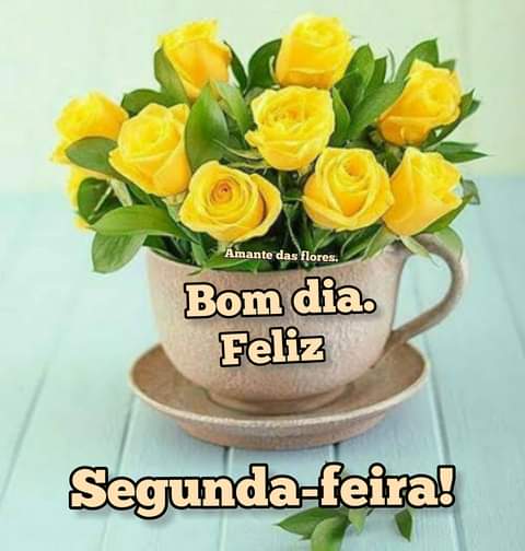 amaraltadeu14's tweet photo. https://t.co/Zefe6j33Y8