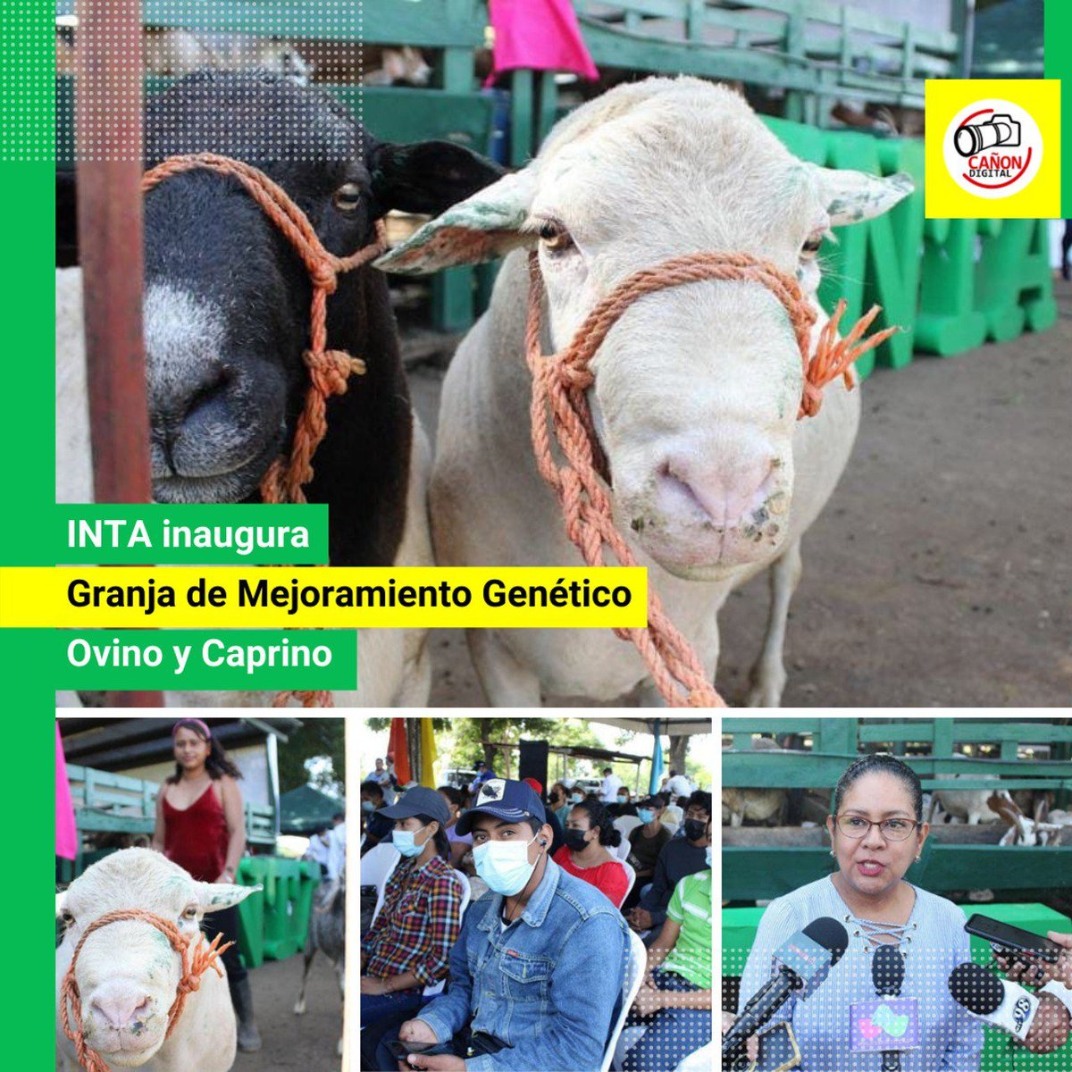 El Instituto Nacional de Tecnología Agropecuaria (INTA) llevó a cabo la inauguración de Granja de Mejoramiento Genético Ovino y Caprino con el objetivo de continuar fortaleciendo dicho rubro.

#SoberaniaEnMiTierra
#OrgulloNacionalPatriaLibre