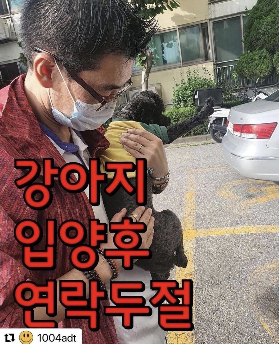OOOHBONG's tweet photo. 푸들만 입양하는 남자. 입양간 아이들 모두 생사를 모릅니다. https://t.co/zkqo8FSDwZ https://t.co/lQlr4GaZ3A