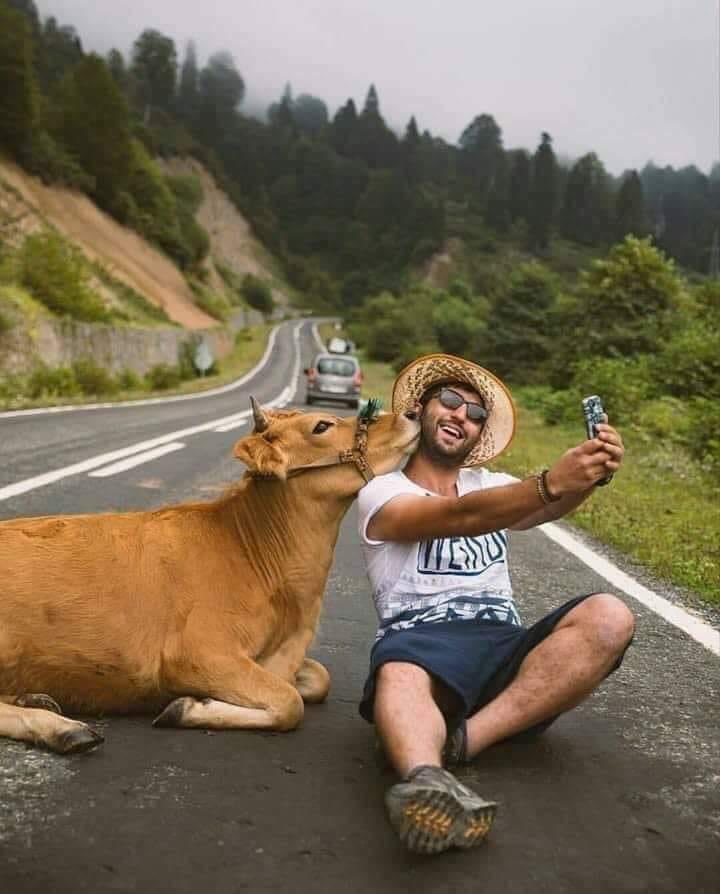 🕊
.
.
.

الاهتمام
يخلُق من الحب حبا آخر ♥️

.
.
.
#صباح_الخير 😊
🕊