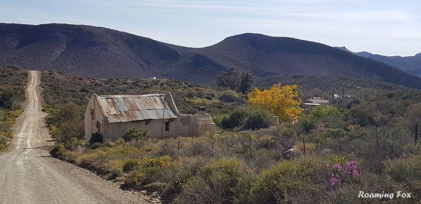 Isn’t this the cutest little somewhat derelict cottage in this Karoo valley? #cottage #karoo #dirtroads #traveldestination #mountains