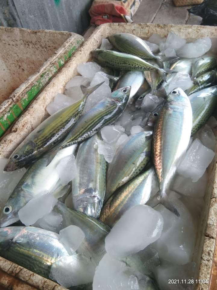 Frits Benyamin Uki,S.ST.Pi tweet media