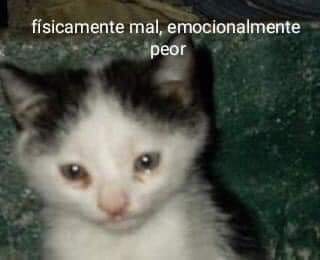 vale_un_pico's tweet photo. por un momento me entró terror y me arrepentí de todos mis pecados AJJAJDNXMSMKS #Temblor https://t.co/5T6CnbvENl
