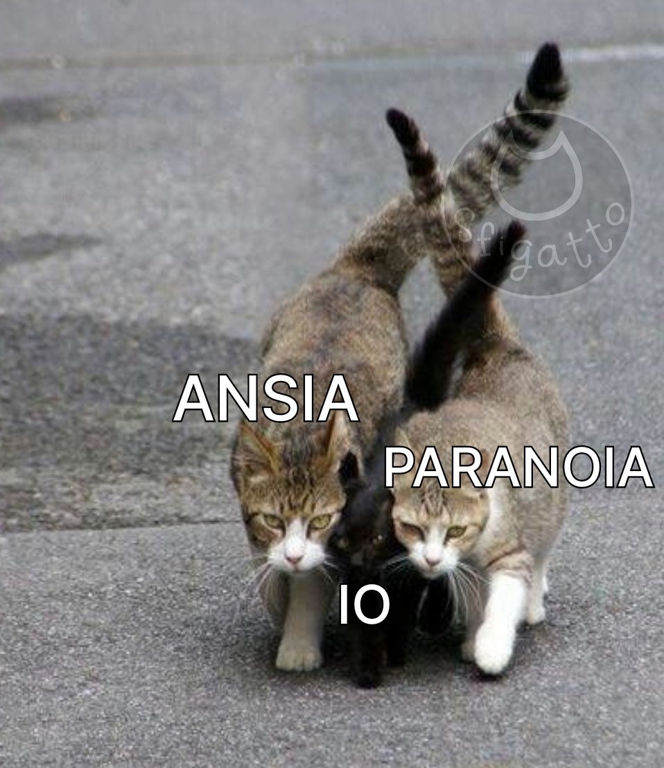 PRECISA 😂
