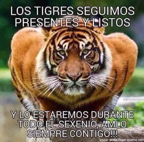 MachadoVayolet's tweet photo. @judas_x8 @CERDONIMUS @CerdonioF @EJERCITOPELUDO Los Traidores de los hermanos Rodriguez Nacho y Mau .. https://t.co/EDKxCxo4cR