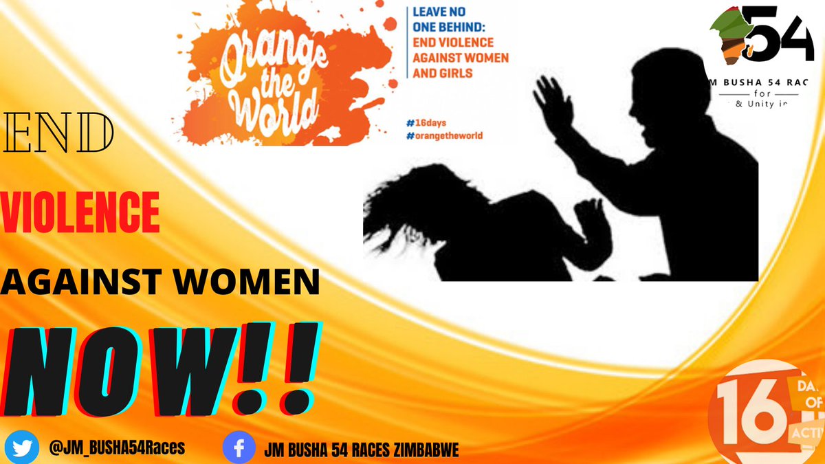 54RacesZim tweet media