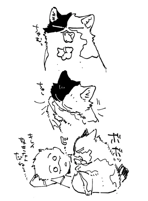 猫㌧とイクラ 