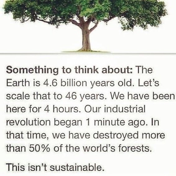 grifffinsu's tweet photo. #SundayThoughts from @Greenisamissio1 courtesy of @doydasdayamos #BeAware #HoldYourGovernmentsAccountable #BeTheChange #DoYourBit #WildlifeGardening #CareForCreatures #CareForPlantlife #CareForTrees https://t.co/v8wSG2w56c
