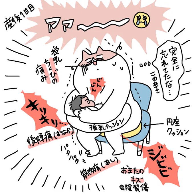 第2子産後1日目、いろんな所が痛いのでこれは1週間の入院中ちょっとでもダラダラ過ごそ…と思ってたけど上の子(2歳10ヶ月娘)と入院後初ビデオ通話したら寂しくて(私も)ボロクソに泣いてしまったのだった。
面会も禁止だし、やっぱり退院早める感じかしら…
#出産レポ(?) #育児絵日記 