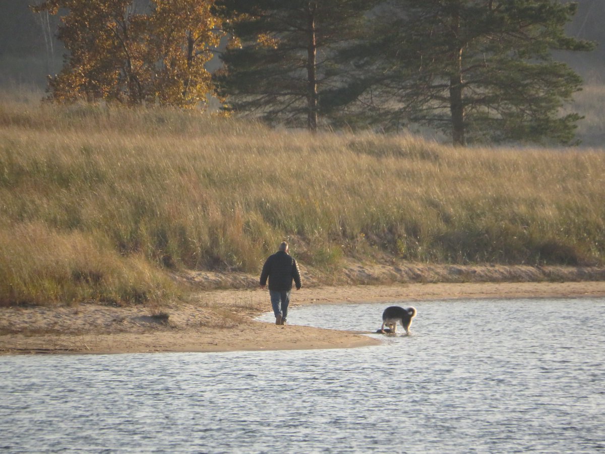 PLKlein_Author's tweet photo. "The average dog is a nicer person than the average person." ~ #AndyRooney #ThinkBIGSundayWithMarsha #ThinkingOutLoud #SundayMotivation #QuickQuotes #AverageDog #AveragePerson https://t.co/8xfL2GNc6c