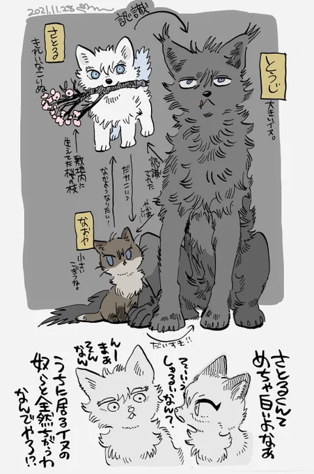 (獣化)こぎつねとかこいぬとか... 