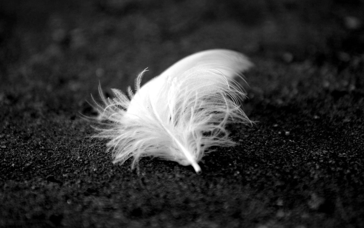 Something seemingly so simple, yet so complicated and beautiful.