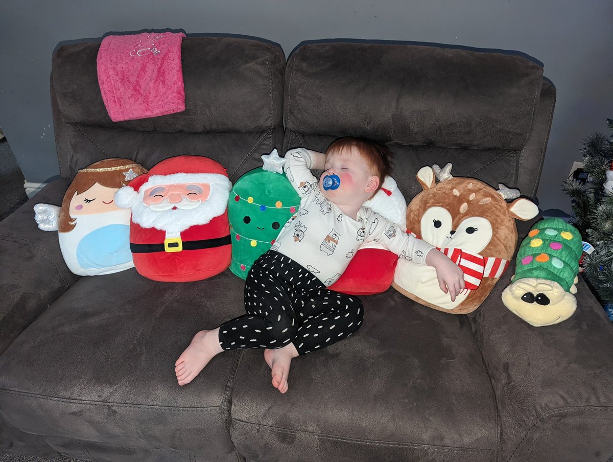 sbchels's tweet photo. When today is already too much for Freddie and he falls asleep with Cuthbert and friends. We just need to get the Christmas Gonk and Marcus Radishford @MarcusRashford and the gang now 😂 @AldiUK https://t.co/puJVMK91Lx