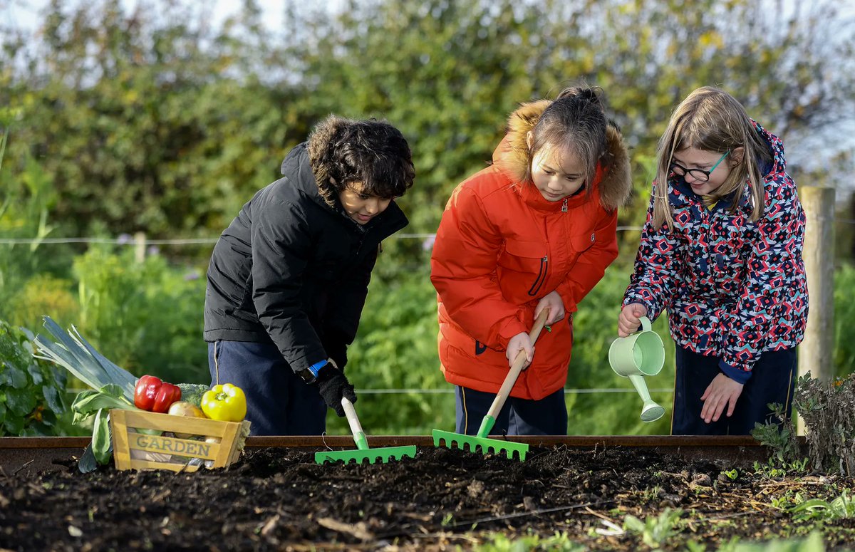 AgriAware's tweet image. ❌ Attention all primary school teachers! ❌ 
  
It's that time of year again! Over 1,800 schools and 45,000 primary students will get to grow, sow and eat their own Irish fruits &amp;amp; veg!🍓🥕🥬🥔 
  
So, what are you waiting for? 
Register now at buff.ly/3HYqwUz