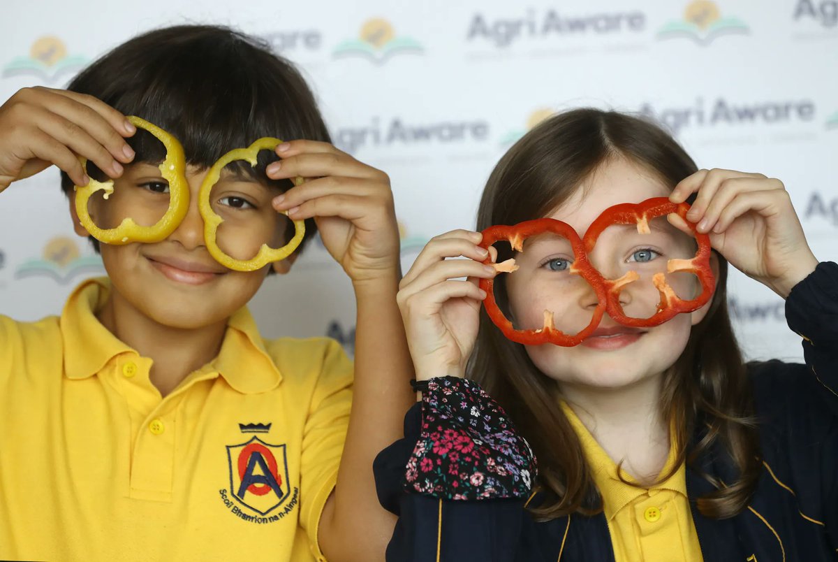 AgriAware's tweet image. ❌ Attention all primary school teachers! ❌ 
  
It's that time of year again! Over 1,800 schools and 45,000 primary students will get to grow, sow and eat their own Irish fruits &amp;amp; veg!🍓🥕🥬🥔 
  
So, what are you waiting for? 
Register now at buff.ly/3HYqwUz