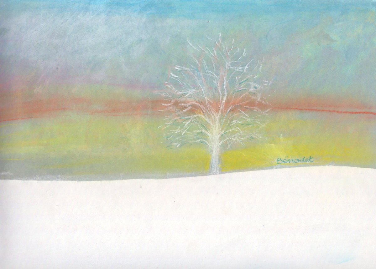 DessinsEnChemin's tweet photo. Silence.
La neige renverse les valeurs. Le ciel paraît gris. L’infini descend au sol. Plus blanc que le blanc du peintre sur la toile.
Puis les hargneux motorisés sont venus interrompre cet équilibre.
#neige #hiver #arbre #tree #樹 #arburu #träd #дерево #albero #coeden #baum https://t.co/YJHCbbTom0