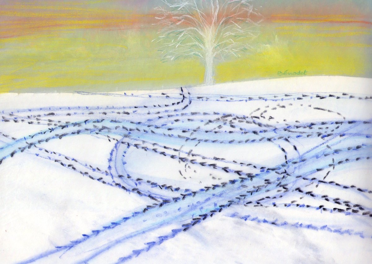 DessinsEnChemin's tweet photo. Silence.
La neige renverse les valeurs. Le ciel paraît gris. L’infini descend au sol. Plus blanc que le blanc du peintre sur la toile.
Puis les hargneux motorisés sont venus interrompre cet équilibre.
#neige #hiver #arbre #tree #樹 #arburu #träd #дерево #albero #coeden #baum https://t.co/YJHCbbTom0