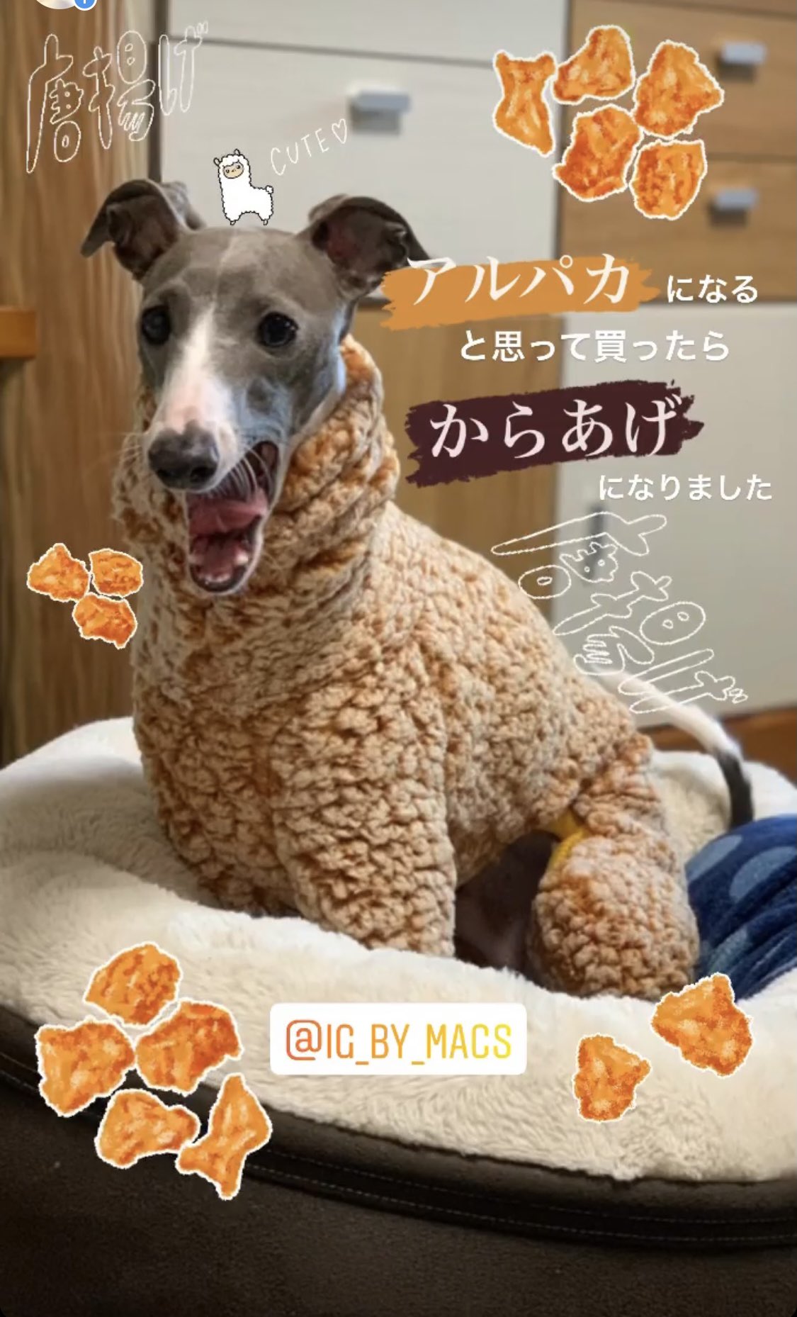 一番の 専用出品 からあげ様 ポケモンカードゲーム Www Jkuat Ac Ke 一番の 専用出品 からあげ様 ポケモンカードゲーム Www Jkuat Ac Ke