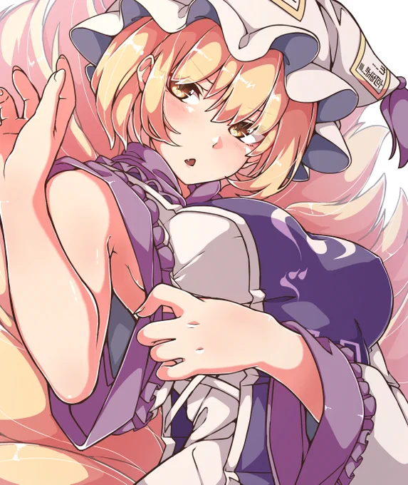 藍様詰め合わせ!藍様可愛い🦊
#東方Project #八雲藍 
