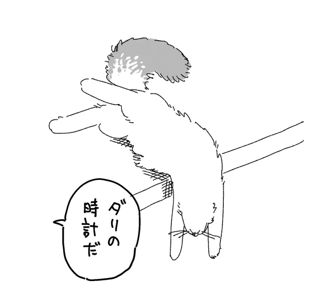 うちの猫 