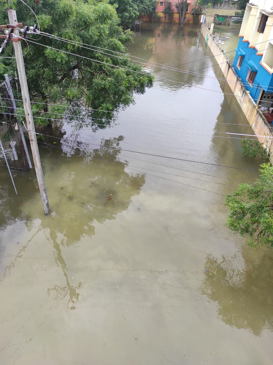 muthutvl's tweet photo. Situation in Sri Ganesh Nagar Kolapakkam porur is very worse for last 10 days. Govt authorities please help.         @CMOTamilnadu @Udhaystalin @iraiyanbu007 @thamoanbarasan https://t.co/JkCzTpRukO